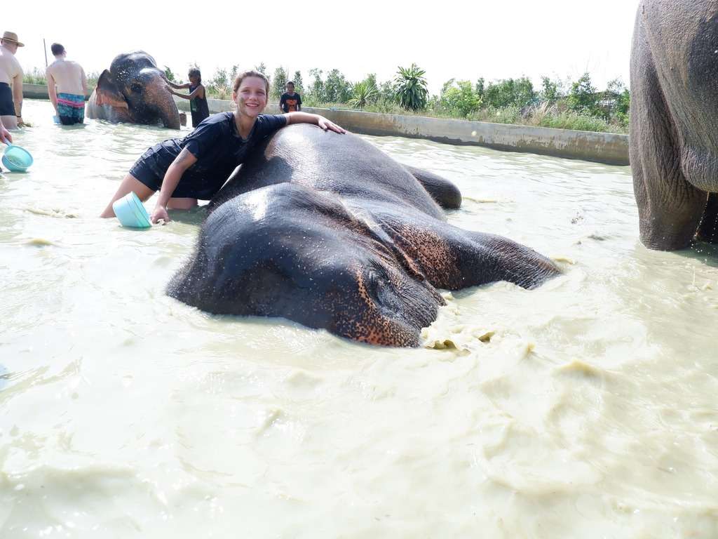 Mud spa with the elephants