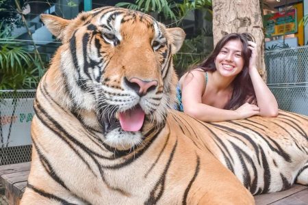 Explore the best of Pattaya Full Day Tour